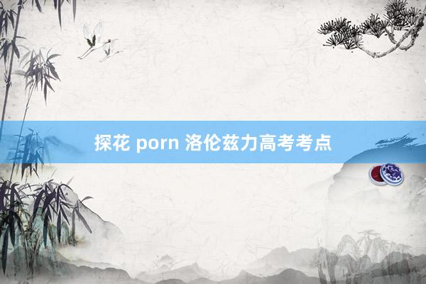 探花 porn 洛伦兹力高考考点