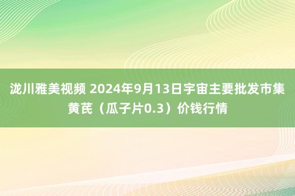 泷川雅美视频 2024年9月13日宇宙主要批发市集黄芪（瓜子片0.3）价钱行情