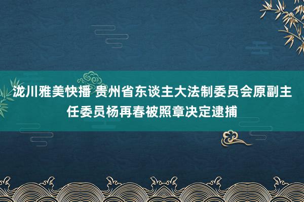 泷川雅美快播 贵州省东谈主大法制委员会原副主任委员杨再春被照章决定逮捕