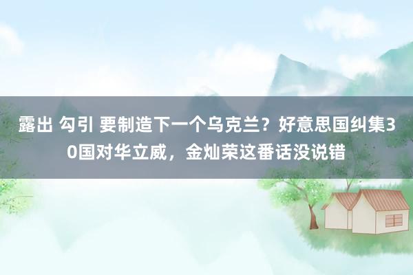 露出 勾引 要制造下一个乌克兰？好意思国纠集30国对华立威，金灿荣这番话没说错