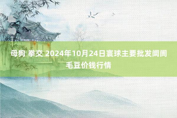 母狗 拳交 2024年10月24日寰球主要批发阛阓毛豆价钱行情