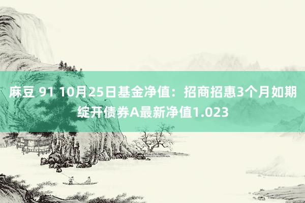 麻豆 91 10月25日基金净值：招商招惠3个月如期绽开债券A最新净值1.023