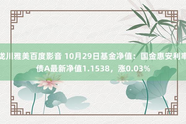 泷川雅美百度影音 10月29日基金净值：国金惠安利率债A最新净值1.1538，涨0.03%