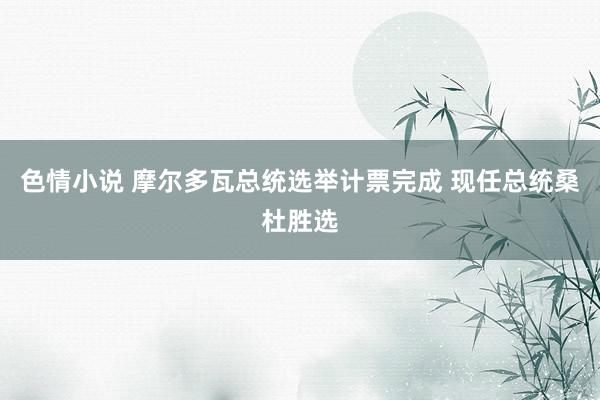 色情小说 摩尔多瓦总统选举计票完成 现任总统桑杜胜选